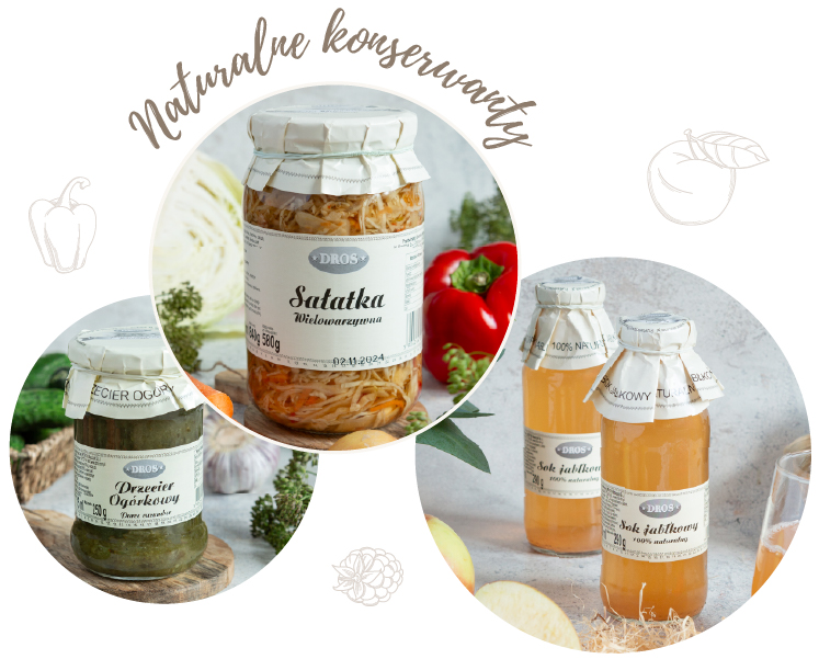 foto_glowna_dros2a foto_glowna_dros2a